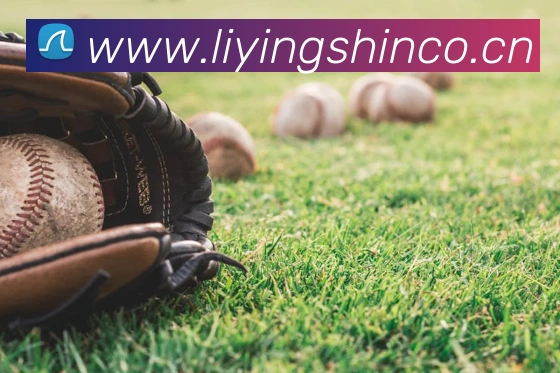 星空体育链接入口发展历程